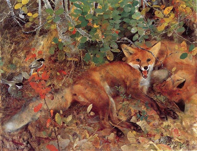 bruno liljefors Foxes oil painting picture